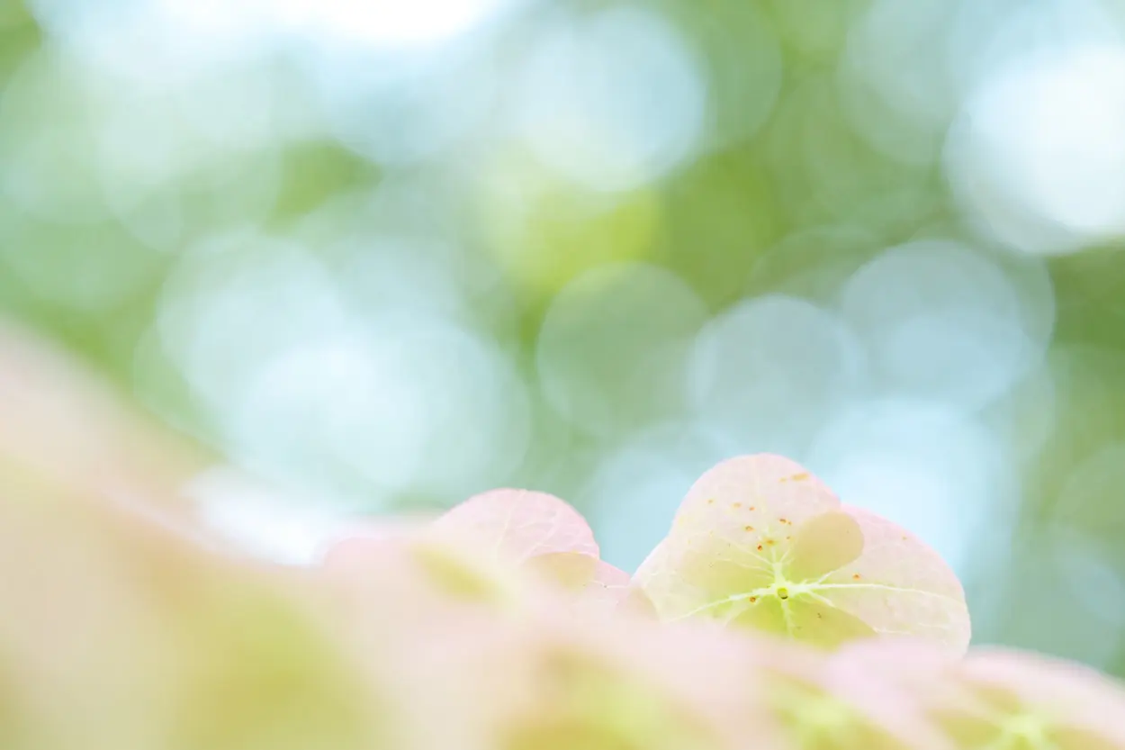 Tamron - 90 mm F/2.8 Di III MACRO VXD